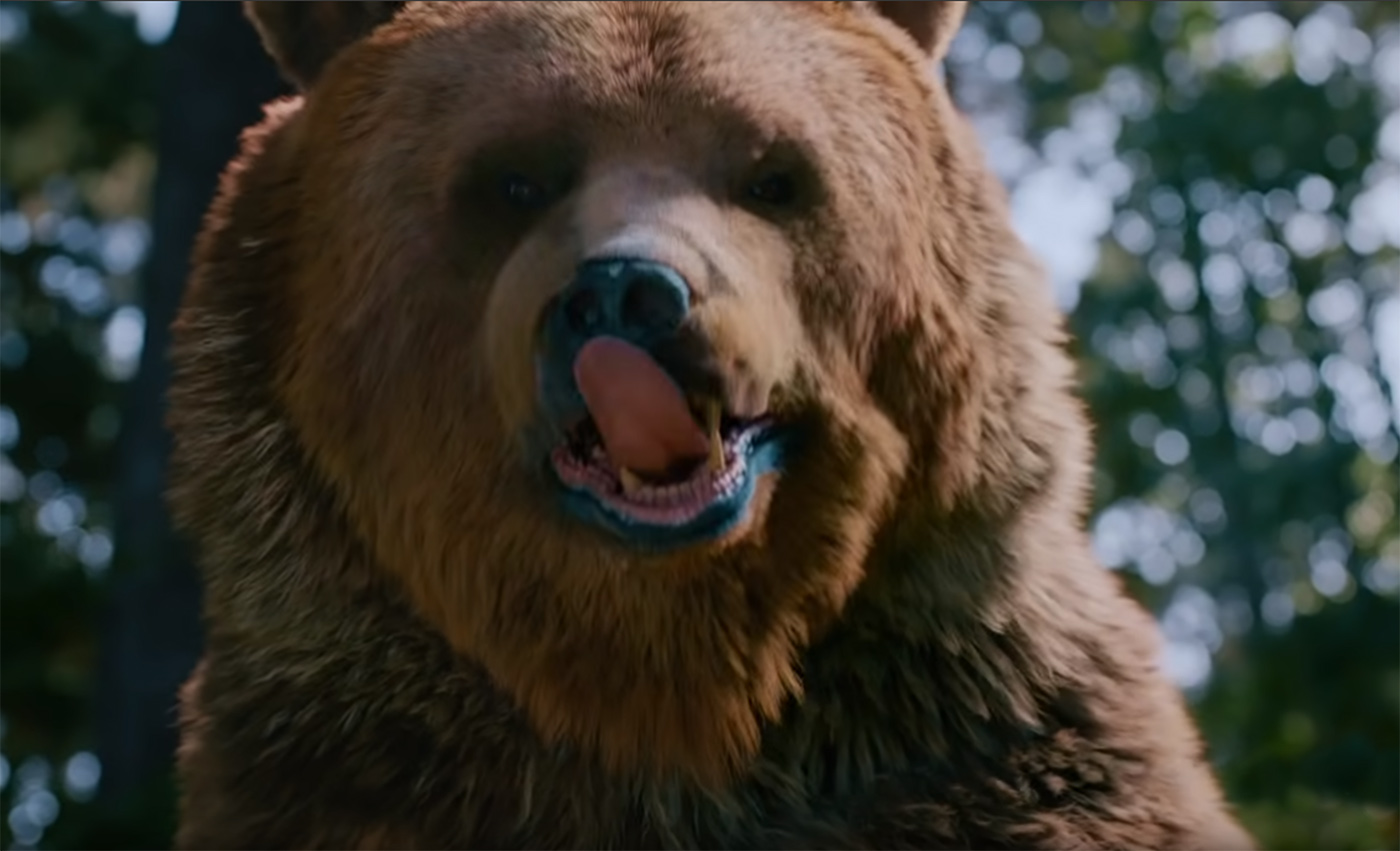 Netto Bear