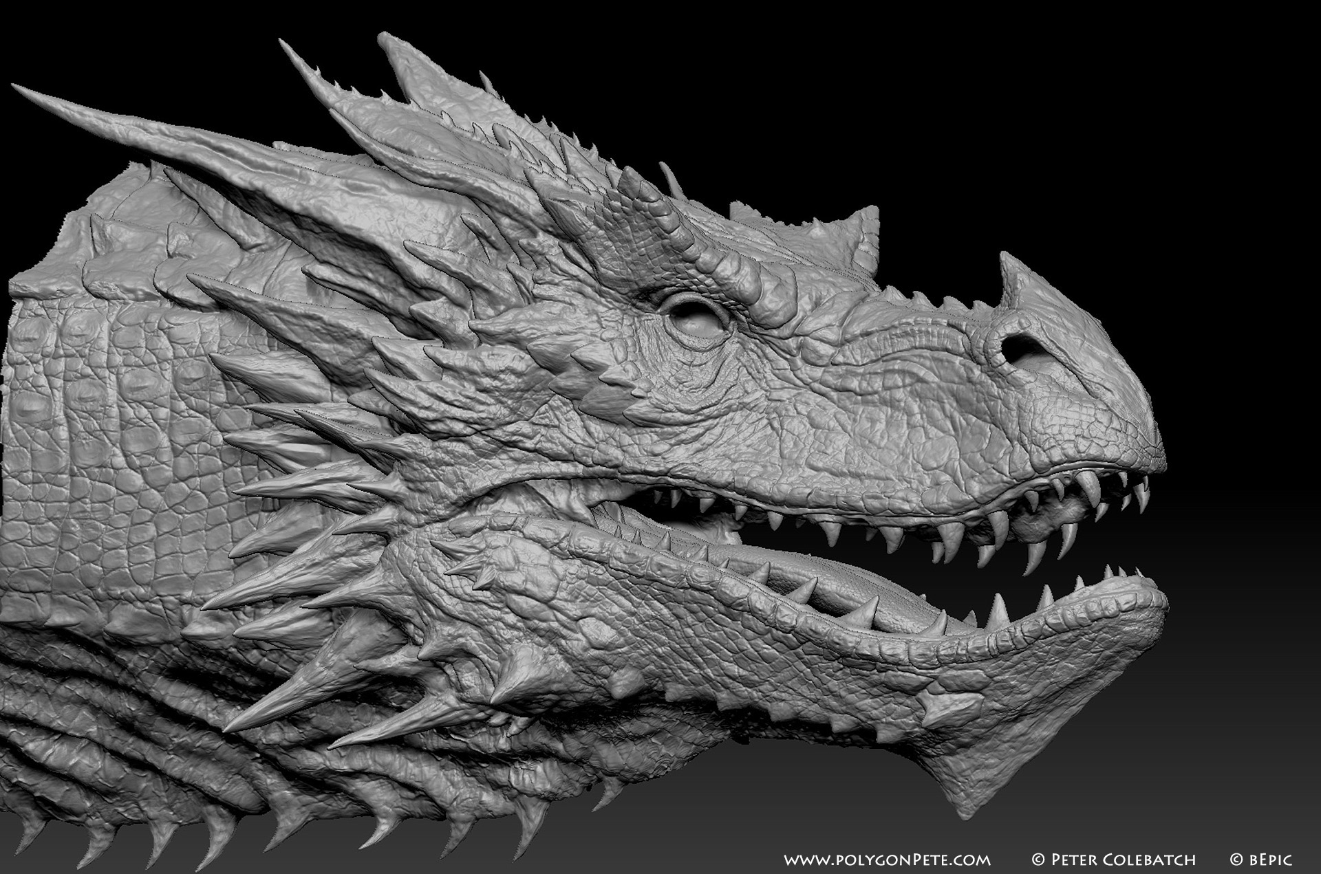 Dragon Zbursh1