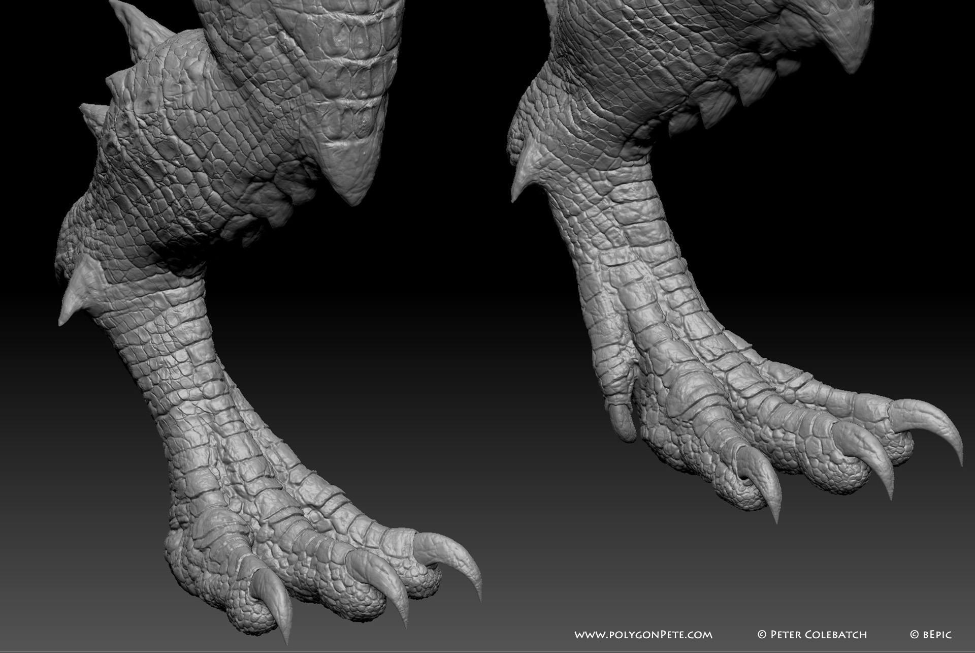 Dragon Zbursh2